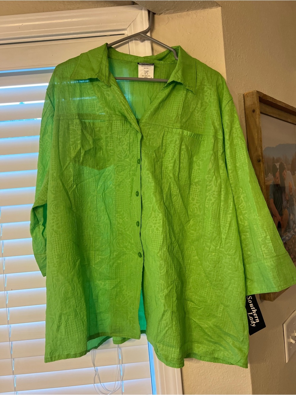 Southern Lady Lime Green Button-Front Blouse